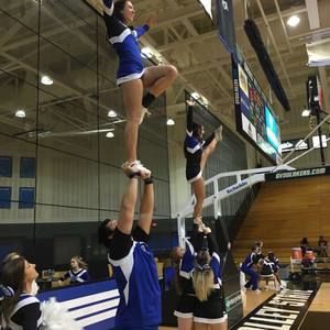 Meet your Posher, Rylee